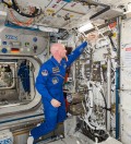 ESA astronaut Alexander Gerst installs the Electromagnetic Levitator (EML) on board the ISS.