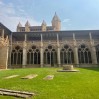 Jardín de la Catedral Pamplona-Navarra-España2025_II